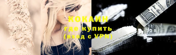 твердый Алзамай