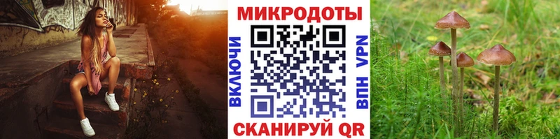 Галлюциногенные грибы мухоморы  Бокситогорск 