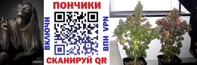 Шишки марихуана конопля  Бокситогорск 